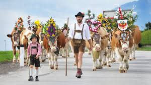 Transhumance au Tyrol