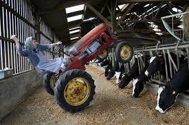 JOURNEE MARIE GUERZAILLE A LA FERME