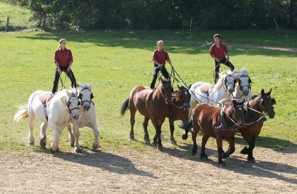 JOURNEE A LA MICHAUDIERE