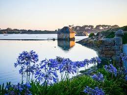 A LA POINTE DE PAIMPOL : BREHAT